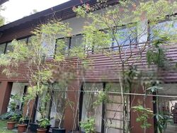 Gallop Park Road (D10), Detached #399022421